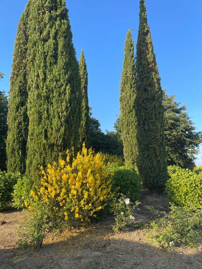 شقة Tuscany Relax H&H - Helly House San Vivaldo المظهر الخارجي الصورة
